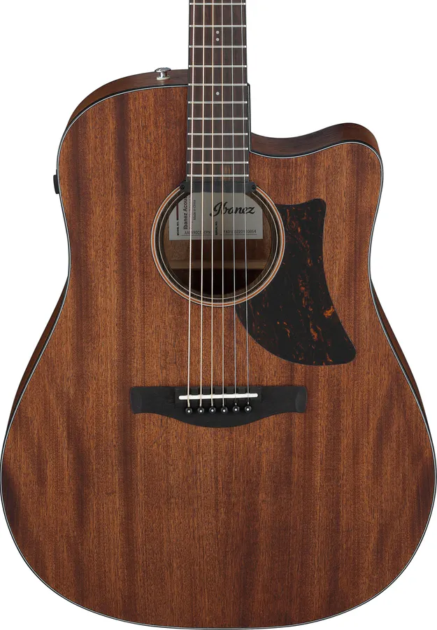 Ibanez AAD190CE-OPN Western Gitar m/ Ibanez Custom preamp, Open Pore Natural finish