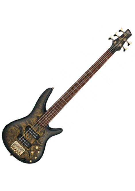 Hovedbilde Ibanez SR305EDX-FDM (Frozen Matte) 5-str.