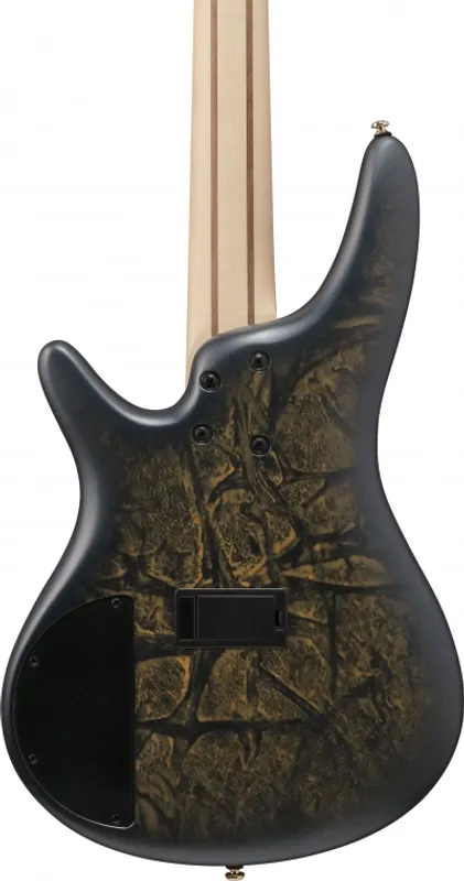 Ibanez SR305EDX-FDM (Frozen Matte) 5-str.
