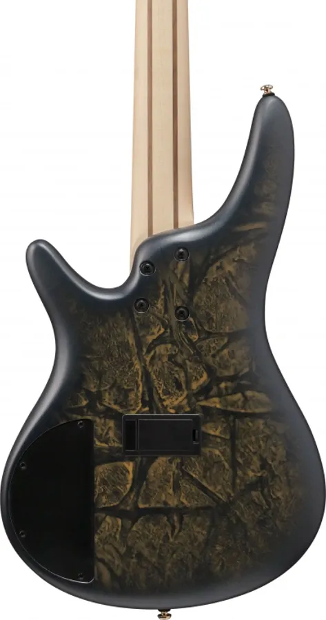 Ibanez SR305EDX-FDM (Frozen Matte) 5-str.