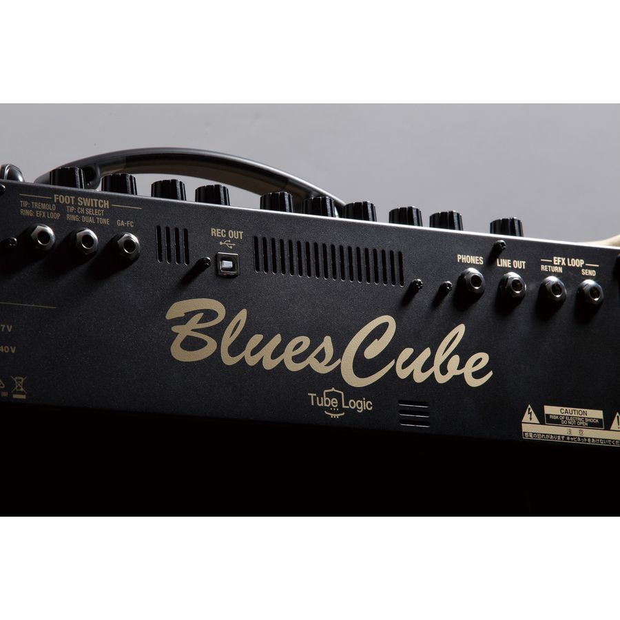 Roland Blues Cube Artist Combo - Blonde