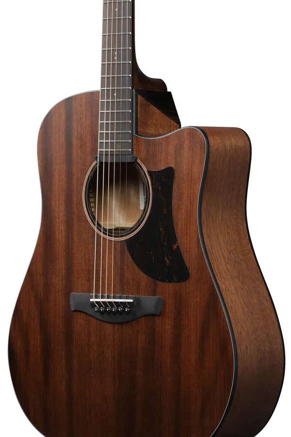 Ibanez AAD190CE-OPN Western Gitar m/ Ibanez Custom preamp, Open Pore Natural finish