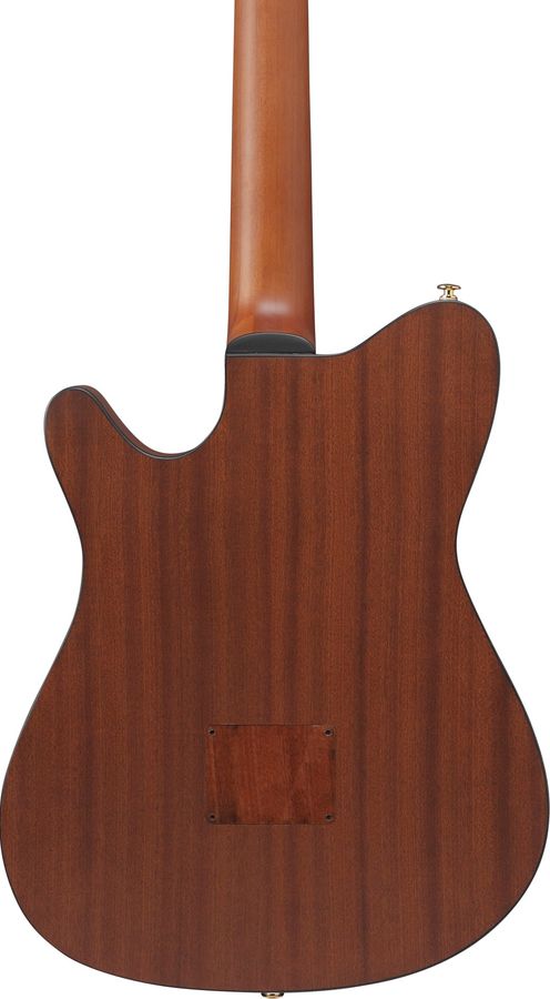 Ibanez FRH10N-NTF Natural Flat, nylonstrengsgitar med elektronikk